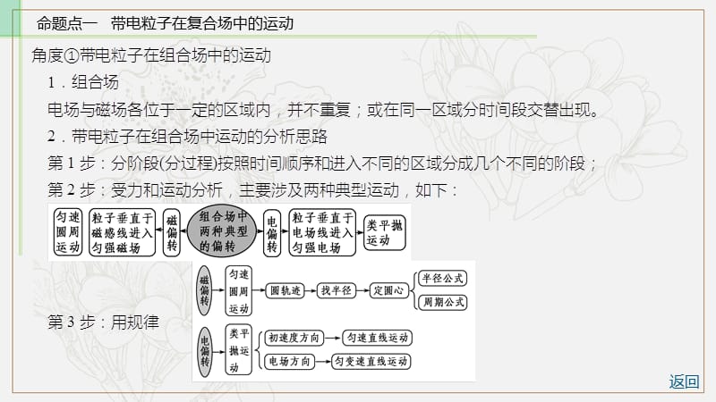 2019物理金版大一轮课件：第9章 专题八 带电粒子在复合场中的运动 .ppt_第3页