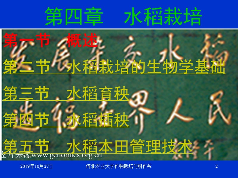 作物栽培学.ppt_第2页