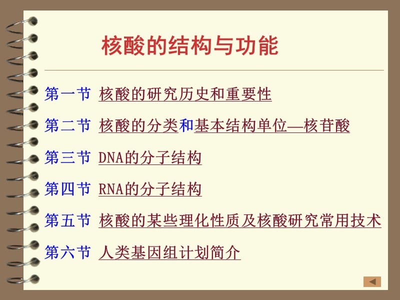 第一章核酸的结构与功能.ppt_第2页