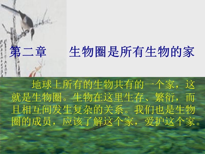 第二章生物圈是所有生物的家.ppt_第1页