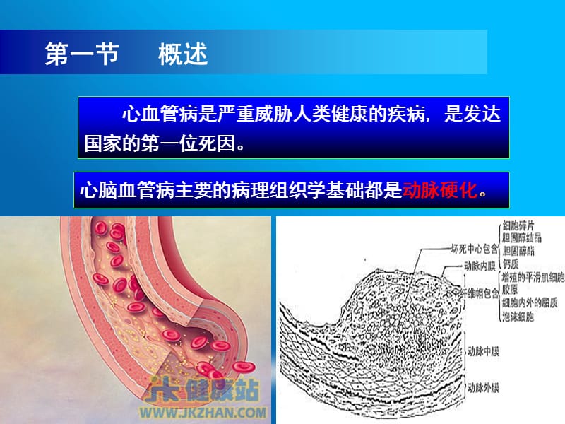 第十章心脏疾病的生物化学标志物.ppt_第3页