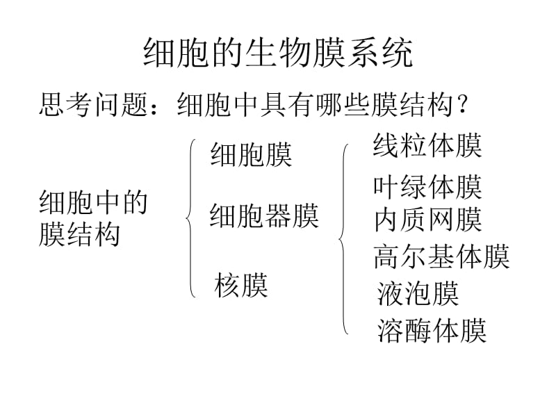 第二节细胞的类型和结构三.ppt_第2页