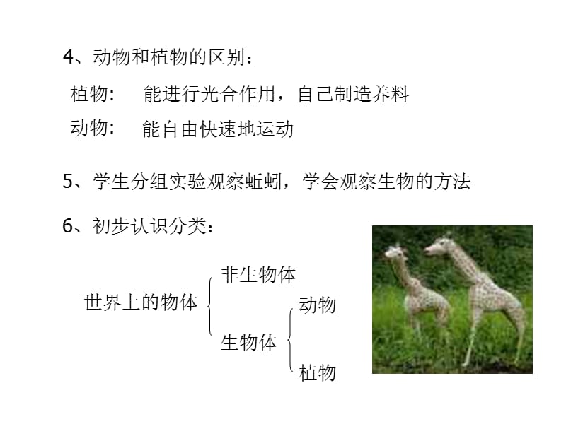 生物与非生物5.ppt_第3页