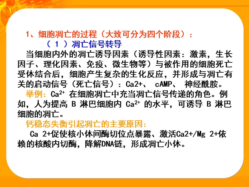 细胞凋亡基因郄银东keyindsinacom.ppt_第3页