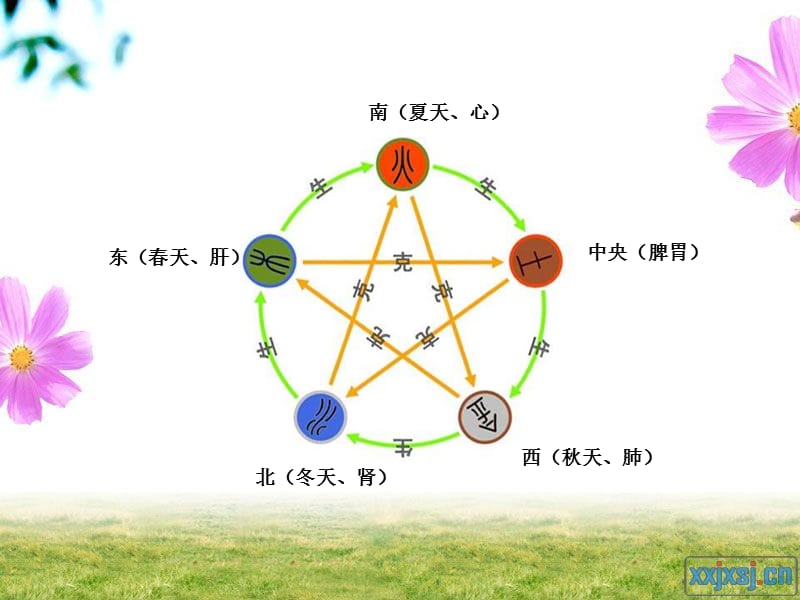 第二四季营养保健1.ppt_第2页