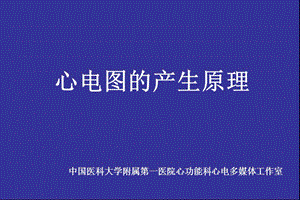 心电图产生原理-好课件.ppt