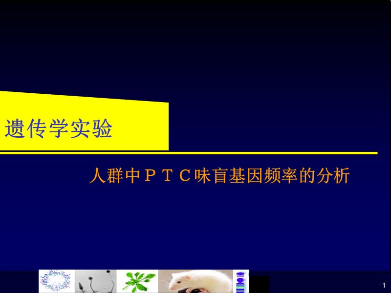 人群中PTC味盲基因频率的分析.ppt_第1页