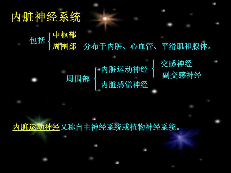 内脏神经传导通路.ppt_第2页