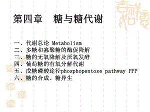 Chapter 4 糖与糖代谢.ppt