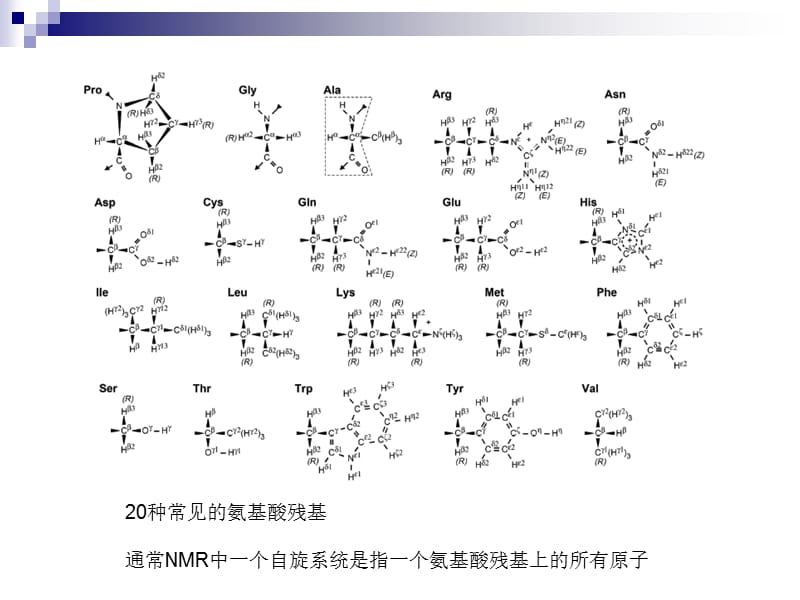 NMR方法解析蛋白质结构.ppt_第3页
