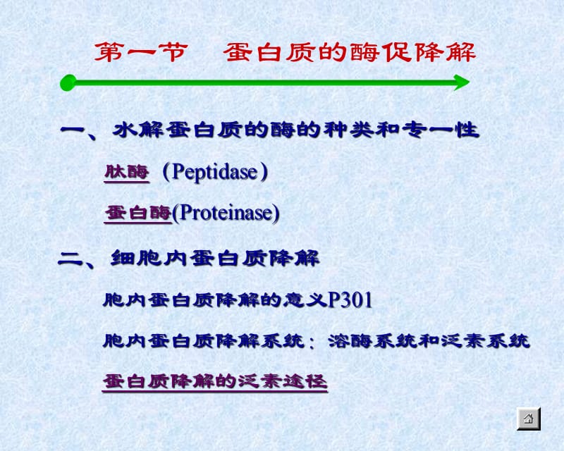 PRO分解代谢.ppt_第2页