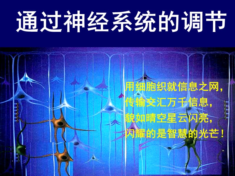 人教版教学课件辽宁省大连市十四中高中生物第一节通过神经系统的调节课件(必修三).ppt_第1页