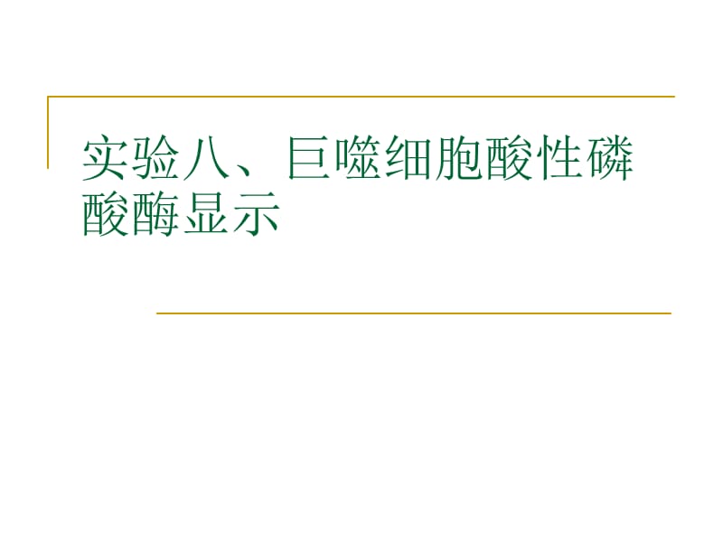 实验八、巨噬细胞酸性磷酸酶显示.ppt_第1页