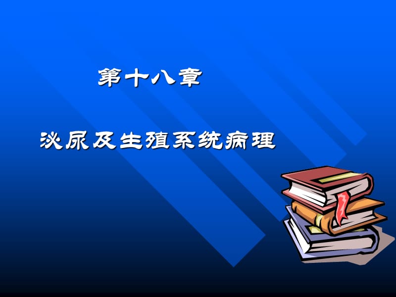 第十八章泌尿及生殖系统修.ppt_第1页