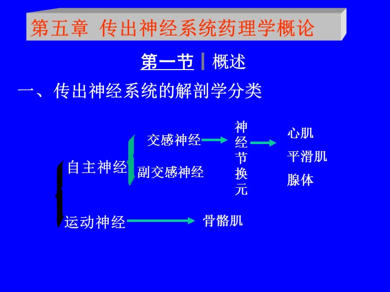 第五部分传出神经系统药理学概论教学课件.ppt_第1页