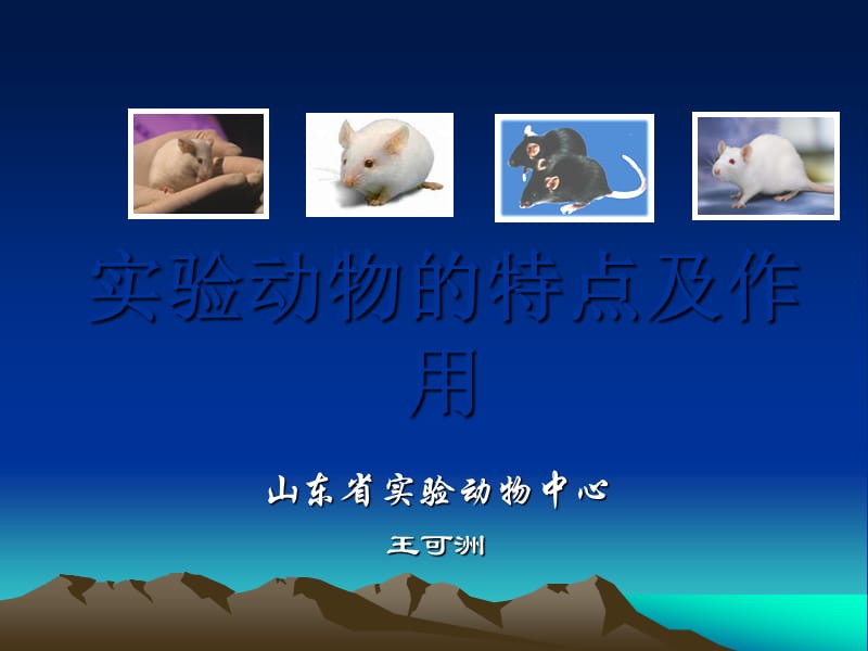 实验动物的特点.ppt_第1页