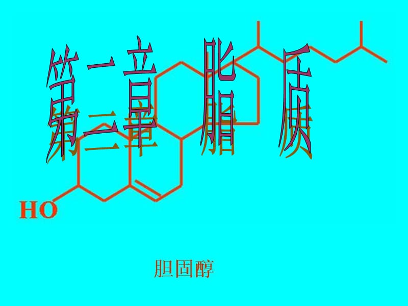 生物化学 脂质.ppt_第1页