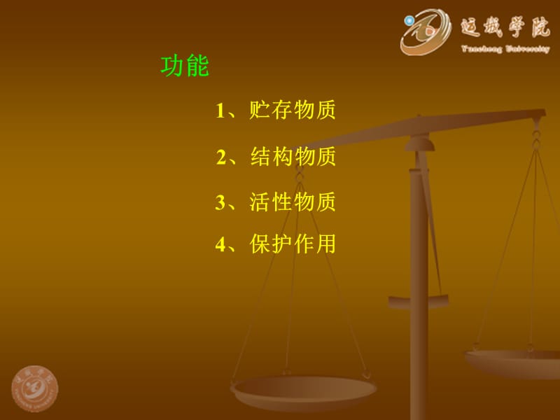 生物化学 脂质.ppt_第3页