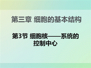 新课标人教版(高中生物) 必修1：3.3 细胞核——系统的控制中心同课异构课件6.ppt