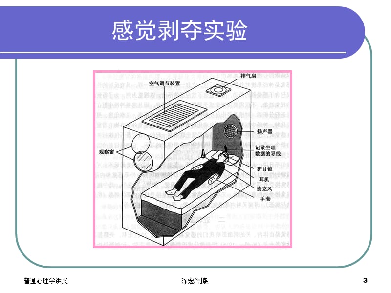 心理学导论课件-感觉.ppt_第3页