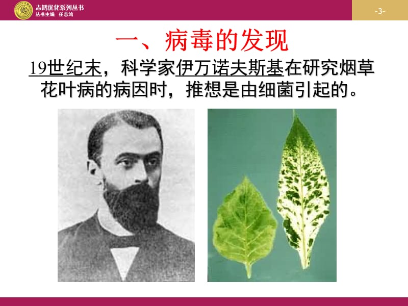 八上生物 第五章 病毒.ppt_第3页