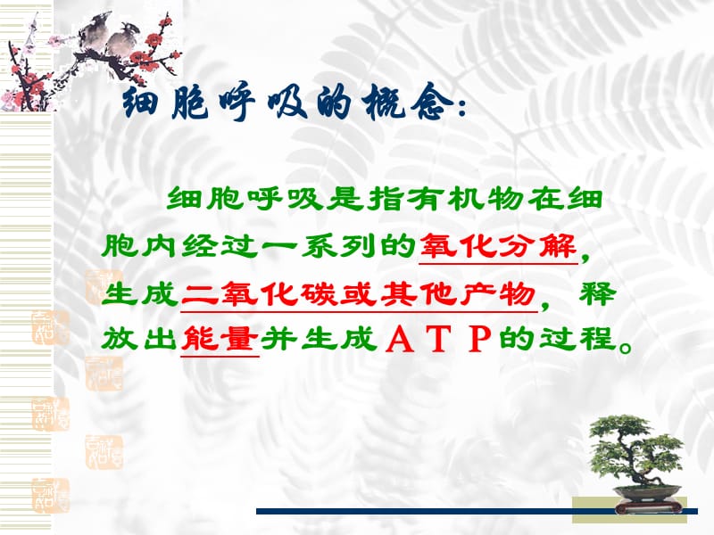 细胞呼吸　课件.ppt_第2页