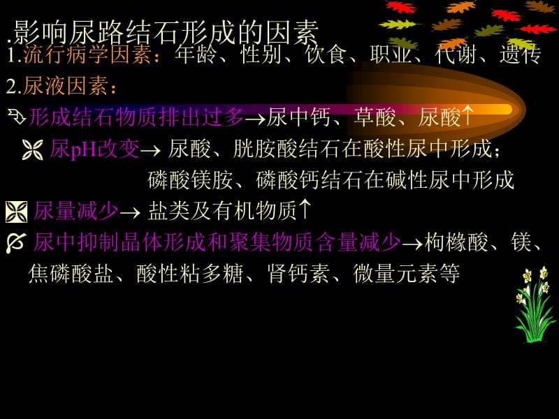 新版泌尿系统结石-结核.ppt_第2页