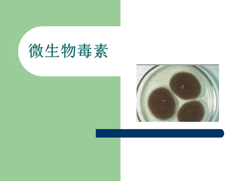 微生物毒素.ppt_第1页