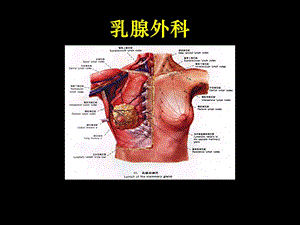 乳腺外科护理.ppt