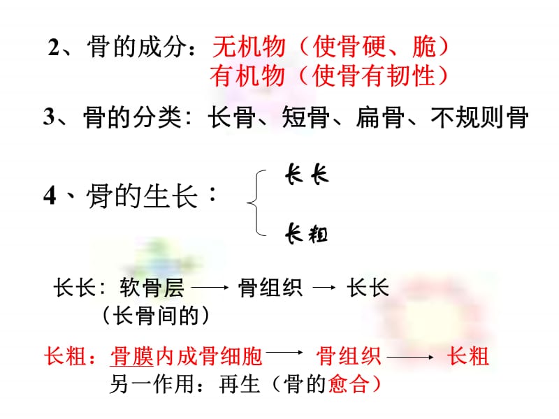 八年级科学骨和肌肉运动.ppt_第3页