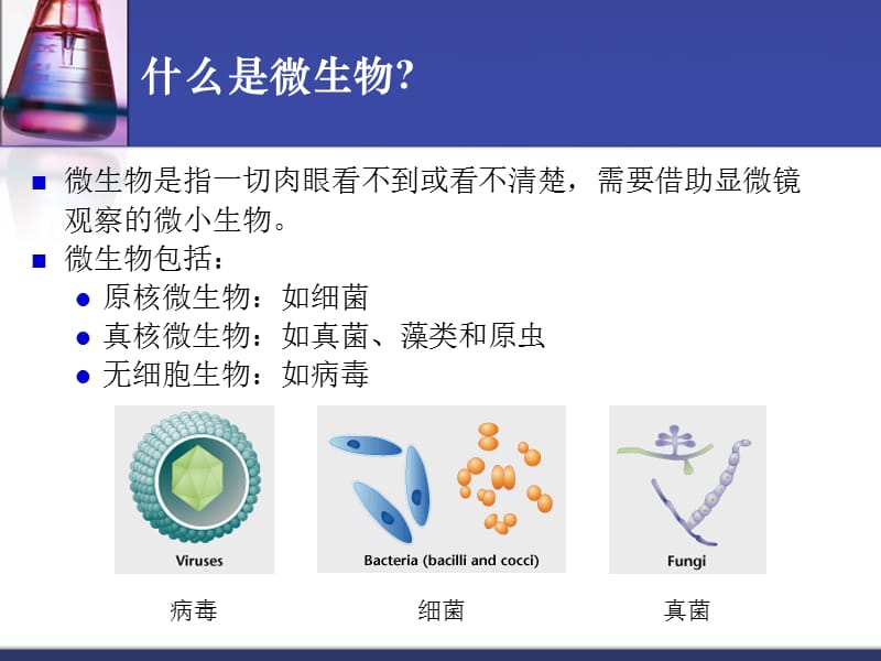 微生物学基础知识2015-5-21.ppt_第3页