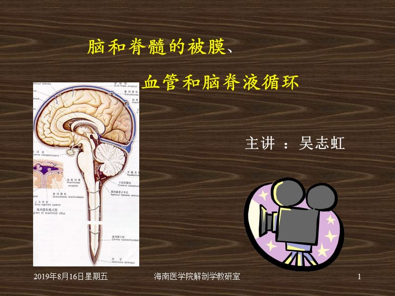 系统解剖 概要脑脊髓被膜 2.ppt_第1页