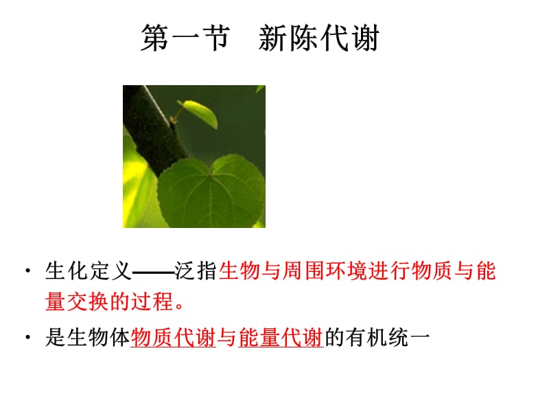 第五章生物氧化1.ppt_第2页