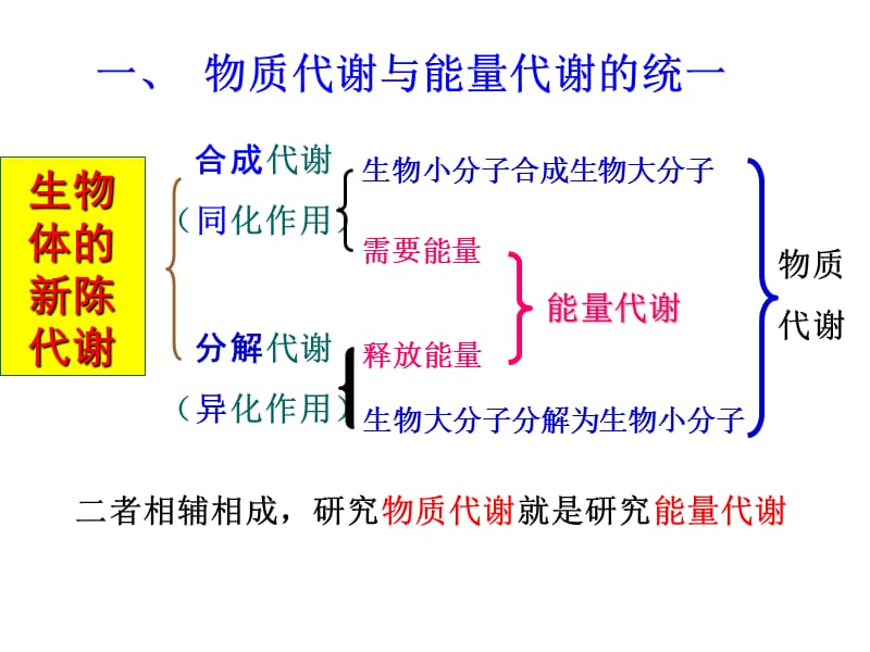 第五章生物氧化1.ppt_第3页