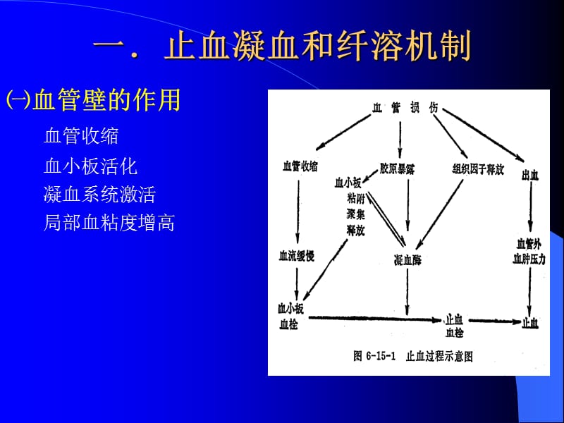 凝血luhua(诊断).ppt_第3页