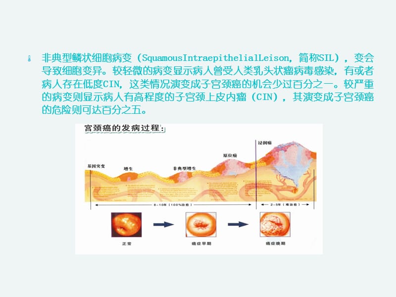 什么是不典型鳞状细胞.ppt_第2页