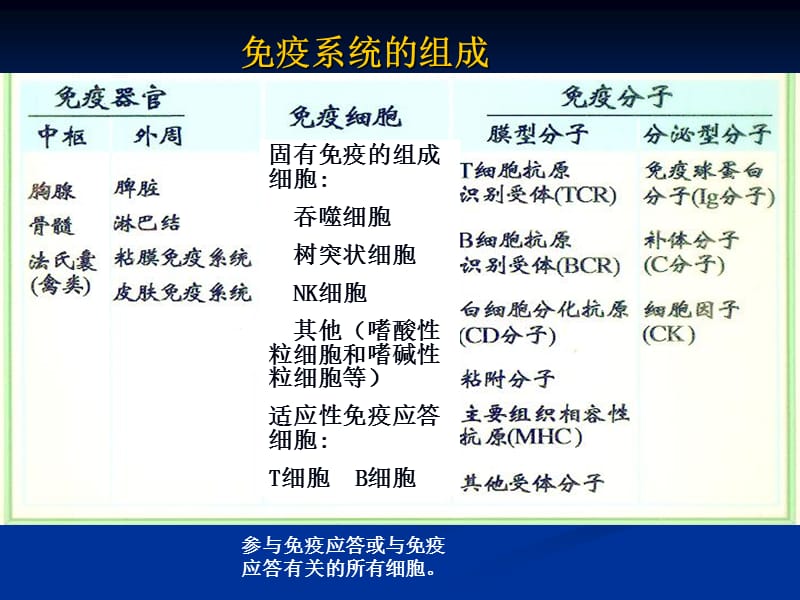 免疫学4-免疫组织和器官.ppt_第2页