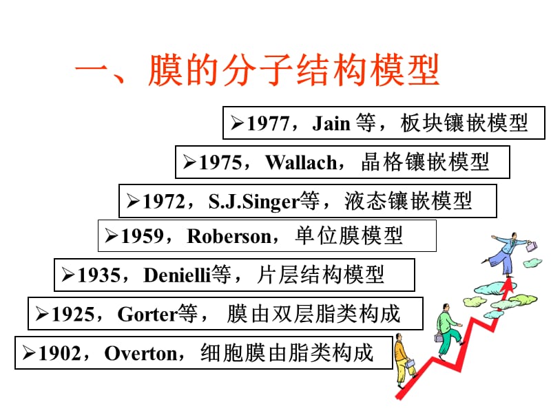 第二细胞膜的分子结构.ppt_第2页