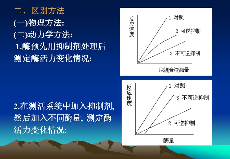 G第七章、酶的抑制作用及抑制.ppt_第2页