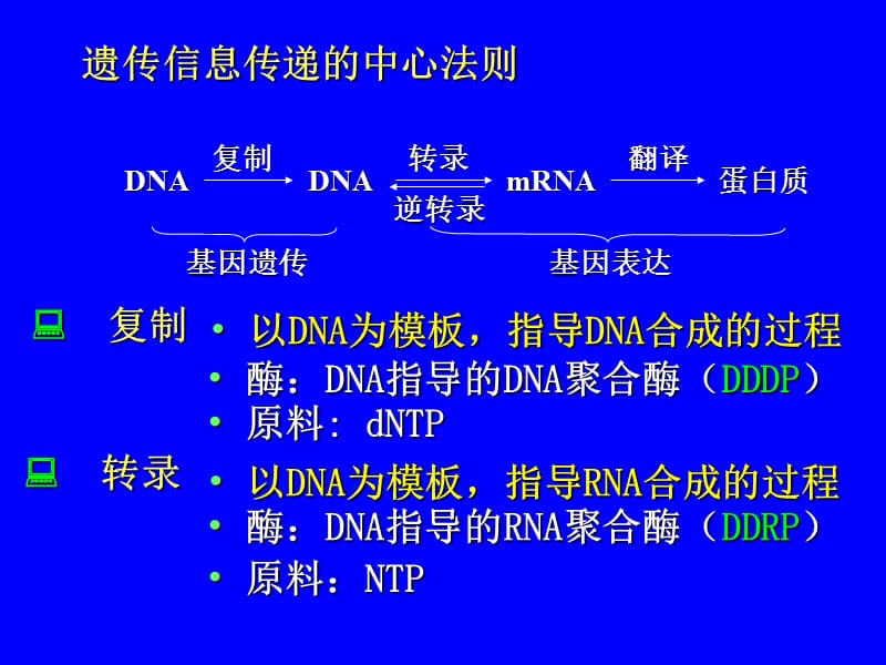 第三篇基因信息的传递.ppt_第2页