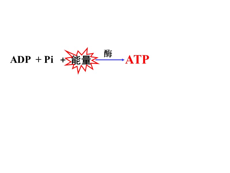 细胞呼吸ppt课件.ppt_第1页