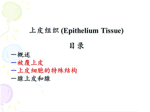 上皮组织33学时(2016中医版).ppt