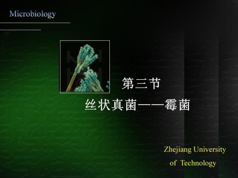 微生物-2.3.ppt_第1页