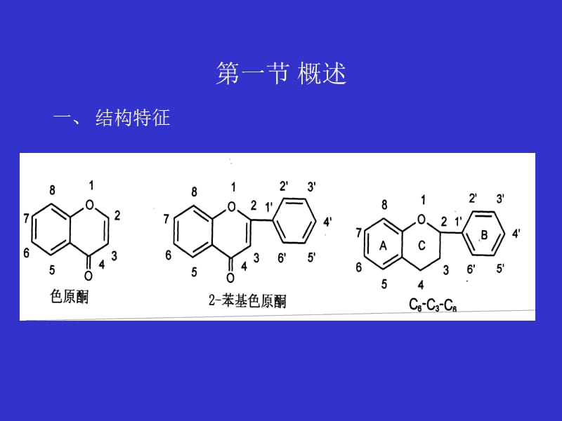 天然药化3.ppt_第2页