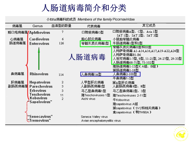 手足口病流行病和病毒学特征.ppt_第2页