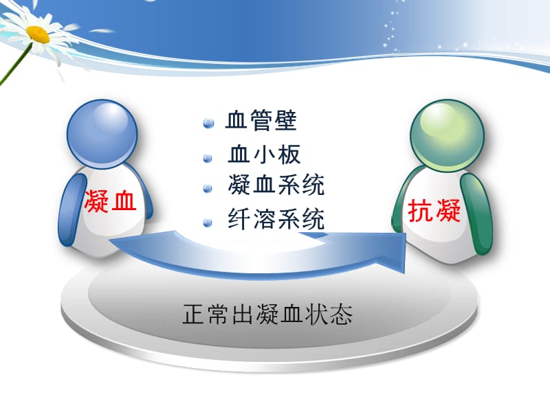 凝血机制-止血药.ppt_第3页