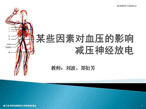 某些因素对血压的影响减压神经放电.ppt