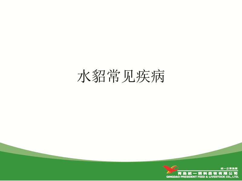 水貂常见疾病介绍.ppt_第1页