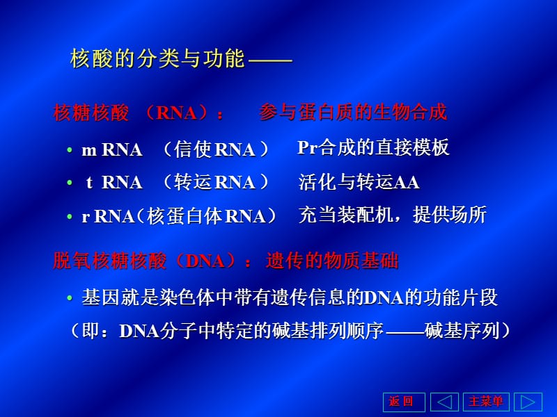 第十一部分基因信息的储存和表达教学课件.ppt_第3页