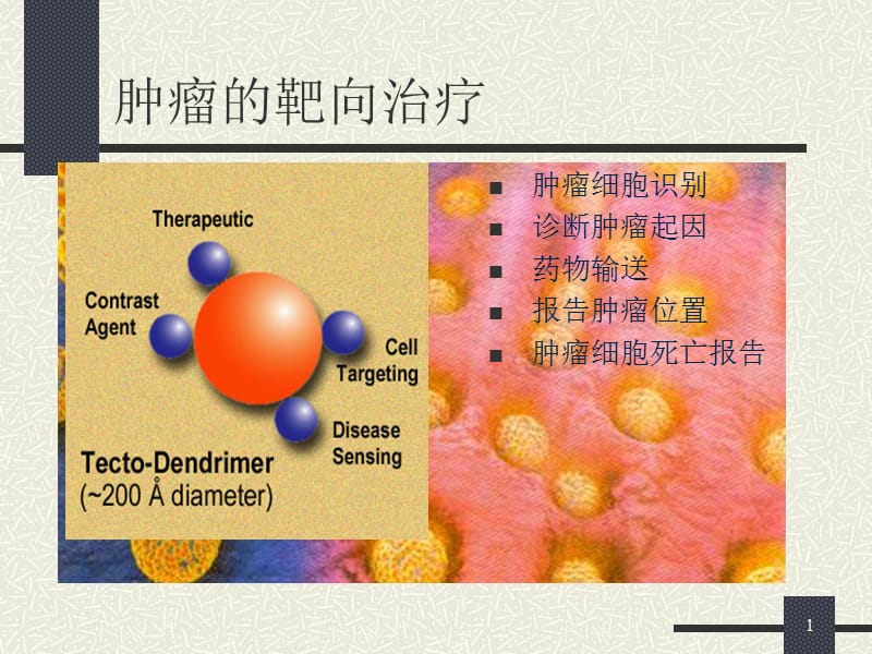 纳米技术与肿瘤诊治.ppt_第1页